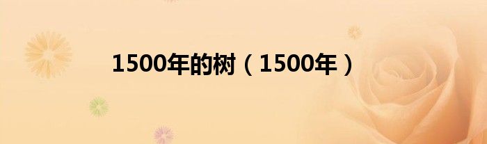 1500年的树(1500年)
