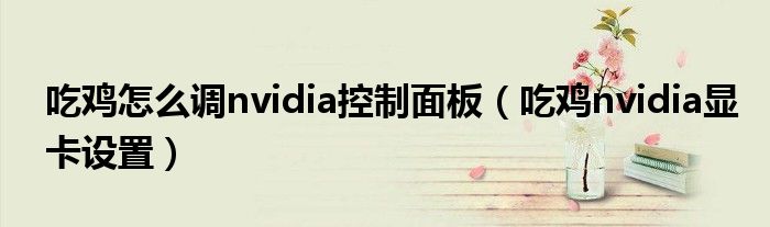 吃鸡怎么调nvidia控制面板(吃鸡nvidia显卡设置)