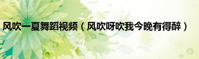 风吹一夏舞蹈视频(风吹呀吹我今晚有得醉)