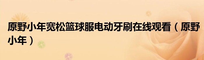 原野小年宽松篮球服电动牙刷在线观看(原野小年)