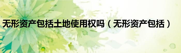 无形资产包括土地使用权吗(无形资产包括)