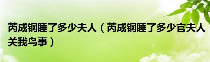芮成钢睡了多少夫人(芮成钢睡了多少官夫人关我鸟事)