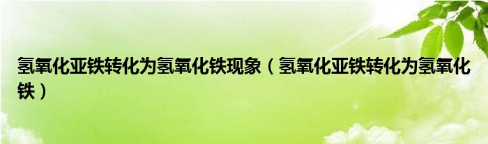 氢氧化亚铁转化为氢氧化铁现象(氢氧化亚铁转化为氢氧化铁)