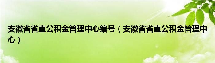 安徽省省直公积金管理中心编号(安徽省省直公积金管理中心)