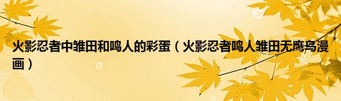 火影忍者中雏田和鸣人的彩蛋(火影忍者鸣人雏田无鹰鸟漫画)