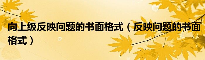 向上级反映问题的书面格式(反映问题的书面格式)