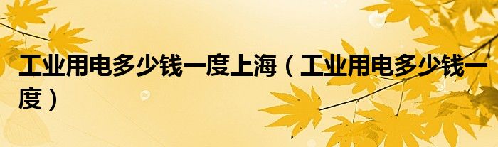 工业用电多少钱一度上海(工业用电多少钱一度)