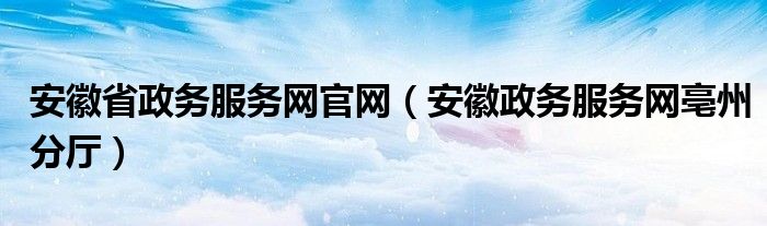 安徽省政务服务网官网(安徽政务服务网亳州分厅)