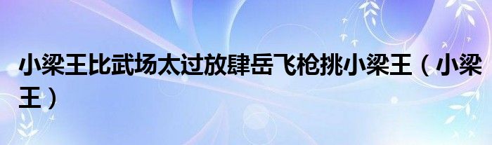 小梁王比武场太过放肆岳飞枪挑小梁王(小梁王)