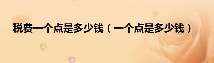 税费一个点是多少钱(一个点是多少钱)