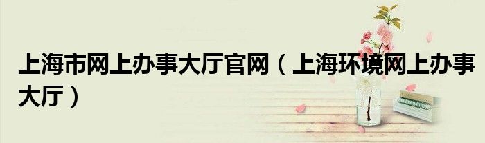 上海市网上办事大厅官网(上海环境网上办事大厅)