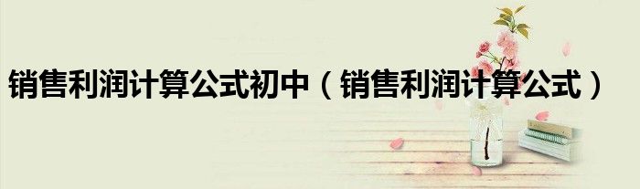 销售利润计算公式初中(销售利润计算公式)