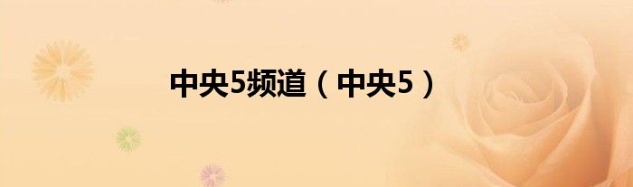 中央5频道(中央5)