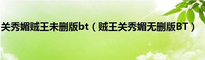 关秀媚贼王未删版bt(贼王关秀媚无删版BT)