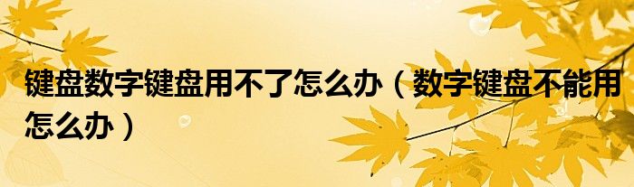 键盘数字键盘用不了怎么办(数字键盘不能用怎么办)