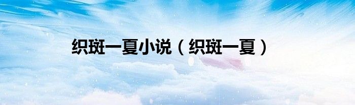 织斑一夏小说（织斑一夏）