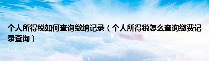 个人所得税如何查询缴纳记录(个人所得税怎么查询缴费记录查询)