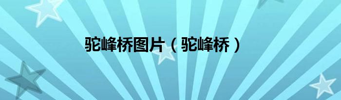 驼峰桥图片（驼峰桥）