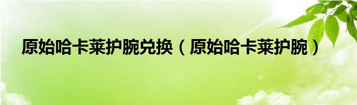 原始哈卡莱护腕兑换(原始哈卡莱护腕)