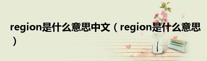 region是什么意思中文(region是什么意思)
