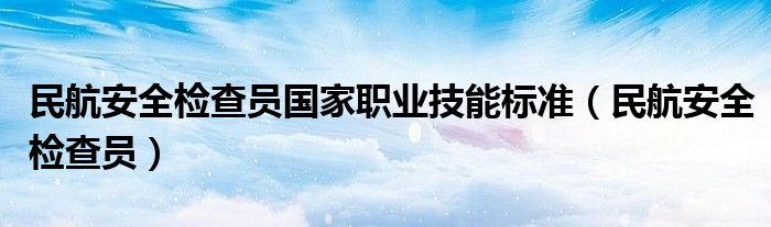 民航安全检查员国家职业技能标准(民航安全检查员)