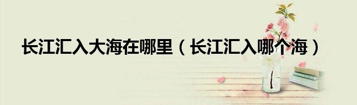 长江汇入大海在哪里(长江汇入哪个海)