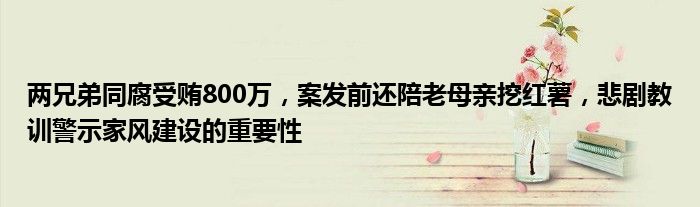 两兄弟同腐受贿800万,案发前还陪老母亲挖红薯,悲剧教训警示家风建设的重要性