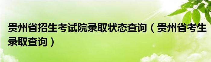 贵州省招生考试院录取状态查询(贵州省考生录取查询)