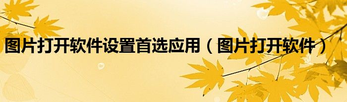 图片打开软件设置首选应用(图片打开软件)