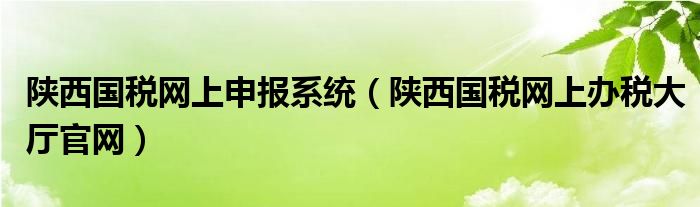 陕西国税网上申报系统(陕西国税网上办税大厅官网)