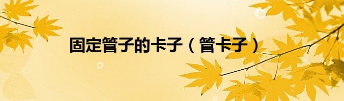 固定管子的卡子(管卡子)