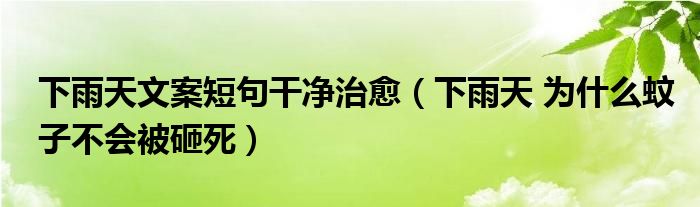 下雨天文案短句干净治愈(下雨天 为什么蚊子不会被砸死)