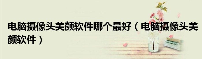 电脑摄像头美颜软件哪个最好(电脑摄像头美颜软件)