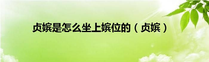 贞嫔是怎么坐上嫔位的(贞嫔)