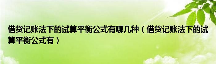 借贷记账法下的试算平衡公式有哪几种(借贷记账法下的试算平衡公式有)