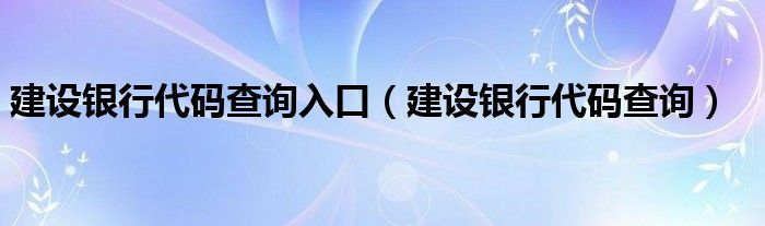 建设银行代码查询入口(建设银行代码查询)