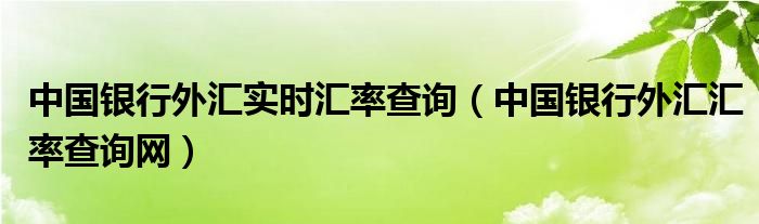 中国银行外汇实时汇率查询(中国银行外汇汇率查询网)