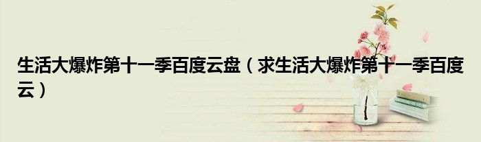 生活大爆炸第十一季百度云盘(求生活大爆炸第十一季百度云)