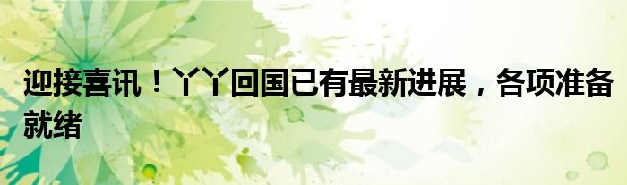 迎接喜讯!丫丫回国已有最新进展,各项准备就绪