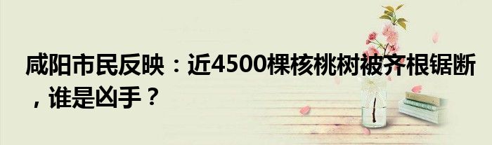 咸阳市民反映:近4500棵核桃树被齐根锯断,谁是凶手?