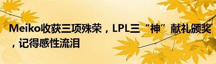 Meiko收获三项殊荣,LPL三“神”献礼颁奖,记得感性流泪