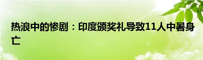 热浪中的惨剧:印度颁奖礼导致11人中暑身亡