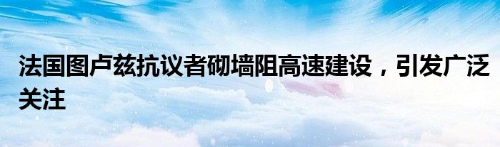 法国图卢兹抗议者砌墙阻高速建设,引发广泛关注