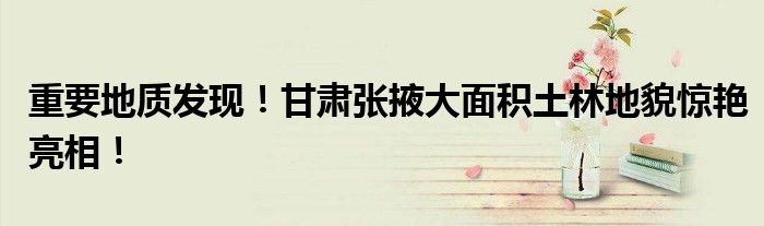 重要地质发现！甘肃张掖大面积土林地貌惊艳亮相！