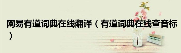 网易有道词典在线翻译(有道词典在线查音标)