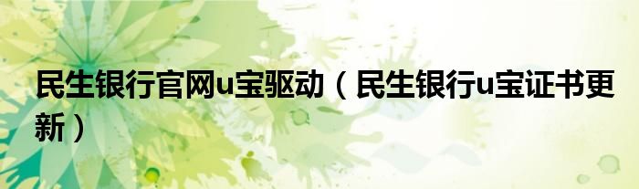民生银行官网u宝驱动(民生银行u宝证书更新)