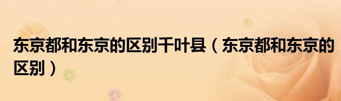 东京都和东京的区别千叶县(东京都和东京的区别)