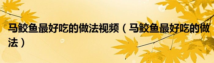 马鲛鱼最好吃的做法视频(马鲛鱼最好吃的做法)