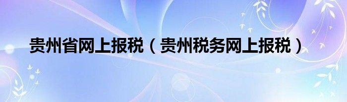 贵州省网上报税(贵州税务网上报税)