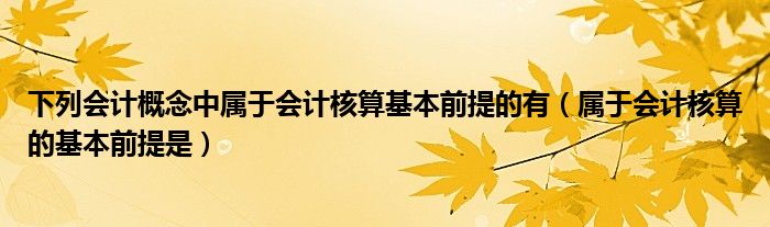 下列会计概念中属于会计核算基本前提的有(属于会计核算的基本前提是)